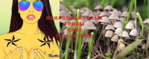 ALPHA PVP Янаул