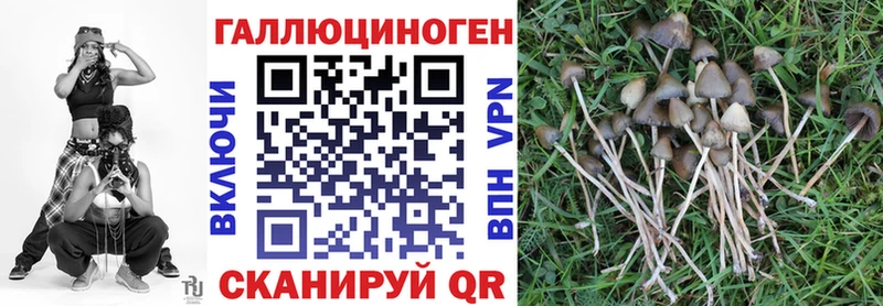 Галлюциногенные грибы Cubensis Сызрань