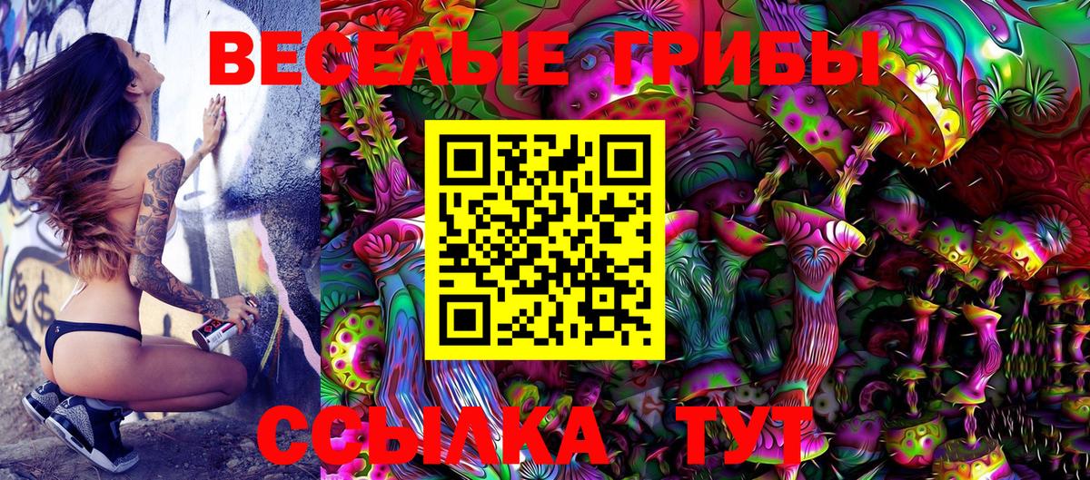 Галлюциногенные грибы мицелий  Галлюциногенные грибы GOLDEN TEACHER  Сызрань  Вход с VPN 